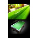 Pool 51 Sierra Premier